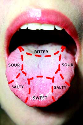 tongue taste points