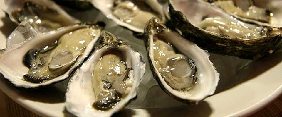 Oyster Bar