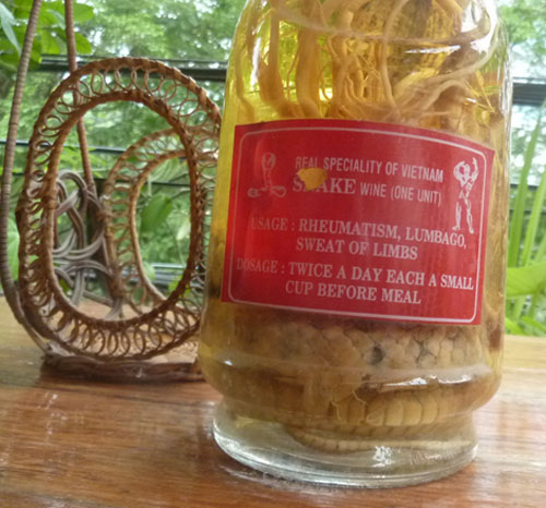 vietnamese snake wine