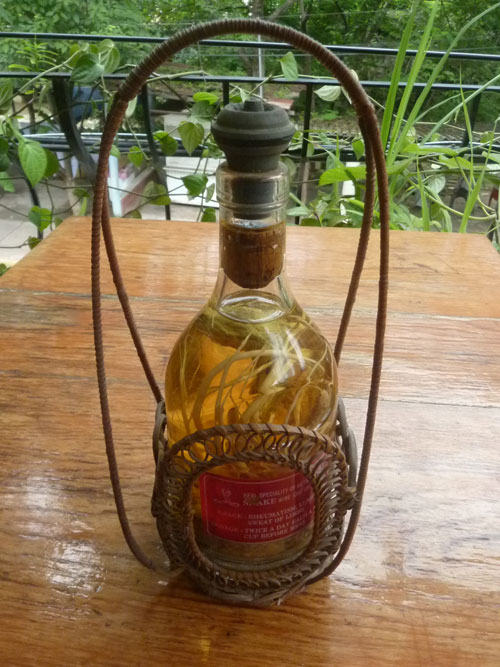 vietnamese snake wine